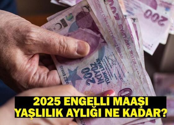 2025 Engelli maaşı, evde bakım maaşı ve yaşlılık aylığı (65 yaş maaşı) ne kadar olacak