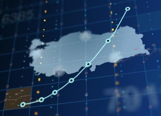 BMden Türkiye ekonomisi değerlendirmesi 2024, 2025, 2026 büyüme rakamları...