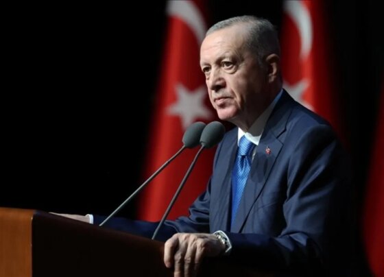 Başkan Erdoğan, ölüm yıl dönümünde Rauf Denktaş'ı andı