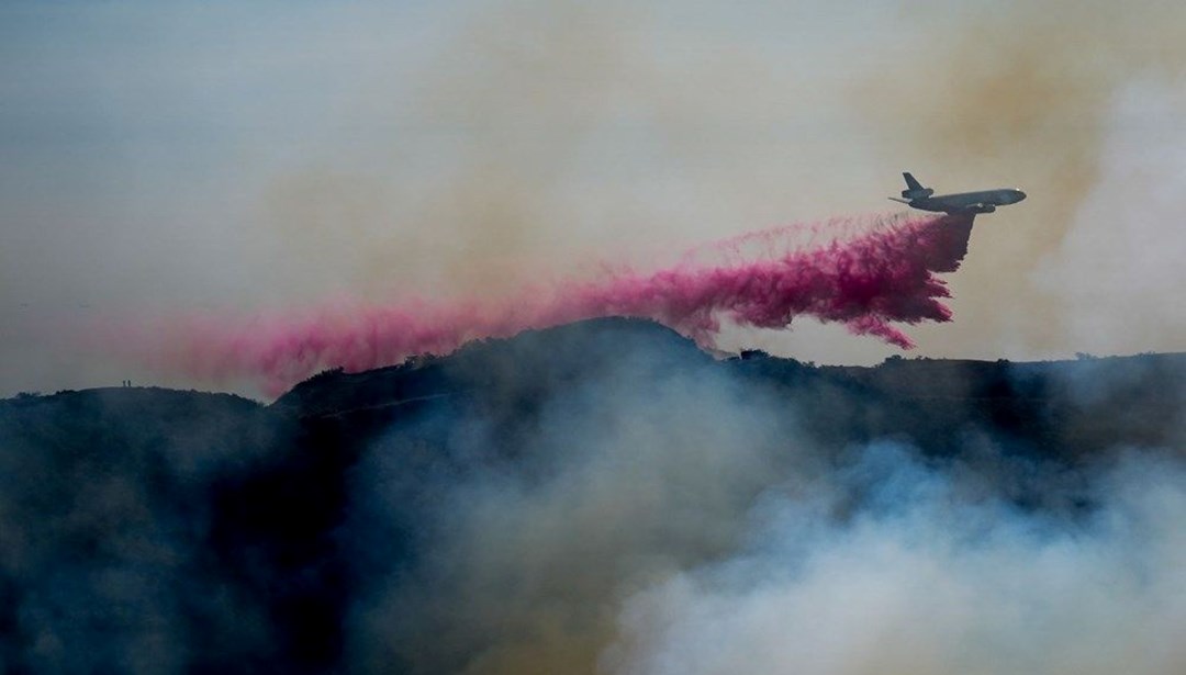 Los Angeles’taki pembe tozun sırrı ne? – Son Dakika Dünya Haberleri