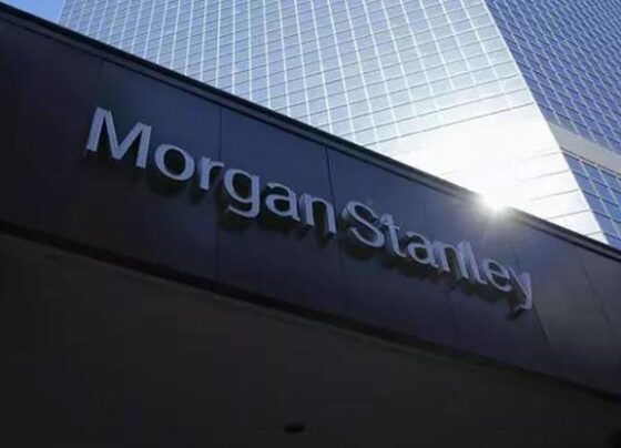 Morgan Stanley, Merkez Bankasının ocak ayı faiz kararı tahminini açıkladı