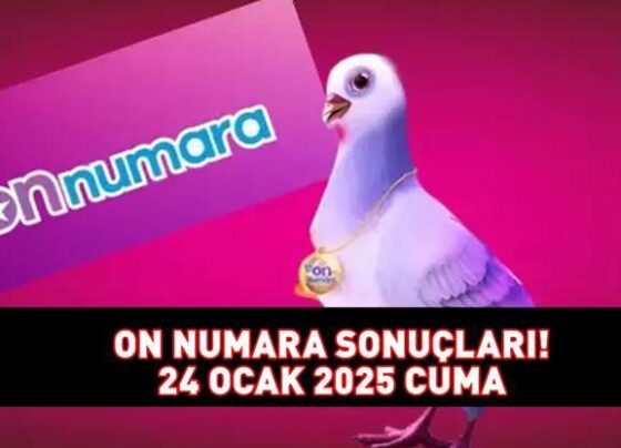 ON NUMARA SONUÇLARI 24 OCAK 2025 | Milli Piyango Online 807.000 TL büyük ikramiyeli On Numara sonuçları açıklandı mı, saat kaçta açıklanır