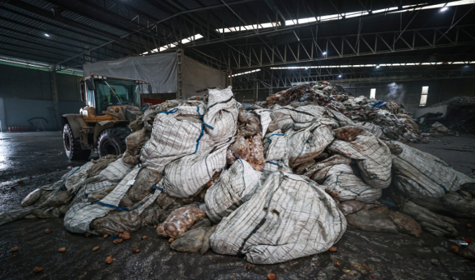 Patateste bitkisel hastalık: 2 bin 500 ton imha edildi haberi