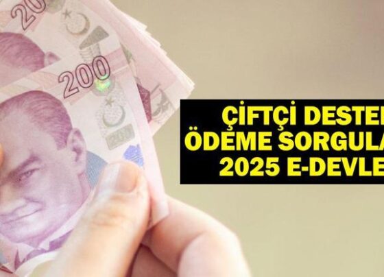 ÇİFTÇİ DESTEK ÖDEME SORGULAMA 2025 e-DEVLET: Tarımsal destekleme ödemeleri sorgulama nasıl yapılır