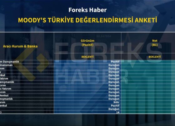 Türkiye'nin kredi notuna ilişkin pozitif beklenti haberi