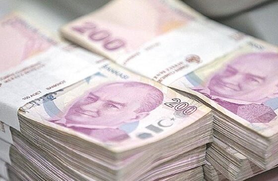 Bankacılık sektörünün mevduatı 163 milyar lira arttı haberi