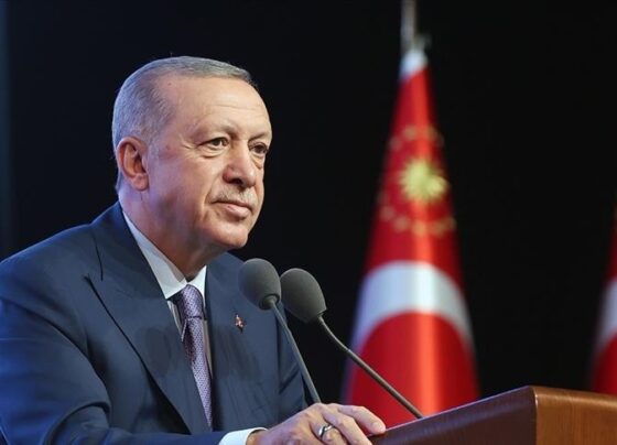 Cumhurbaşkanı Erdoğan'ın Barış Manço'nun ölüm yıldönümüne ilişkin paylaşımı