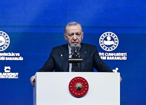 Erdoğan: Çelik bir iradeyle şehirlerimizi yeniden ayağa kaldıracağız