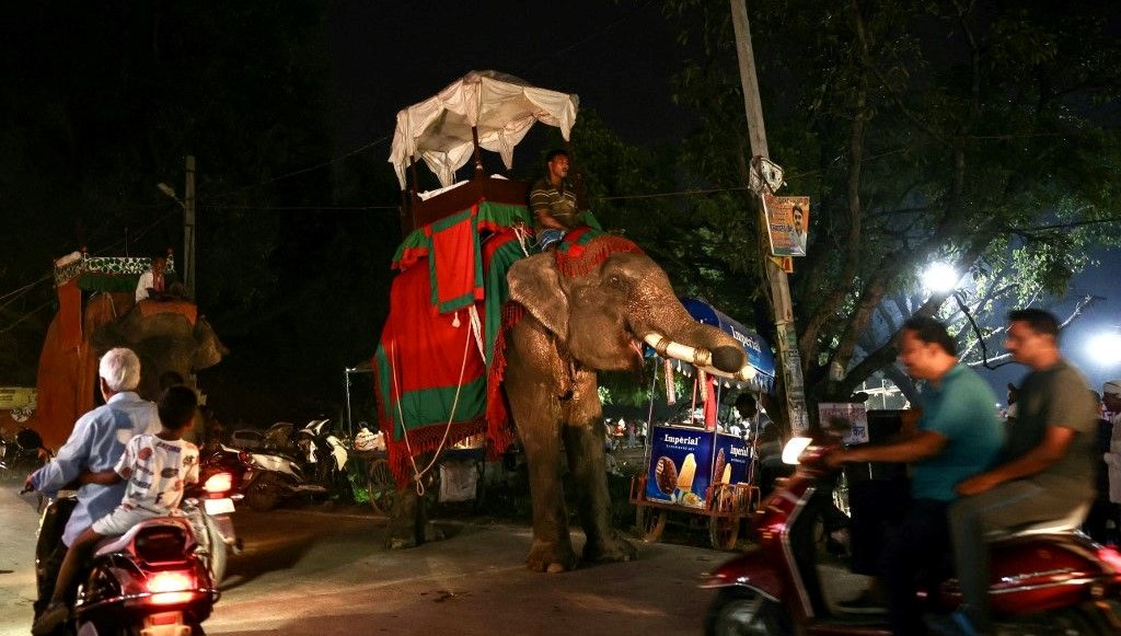 Hindistan’da fil saldırısı: 5 kişi hayatını kaybetti