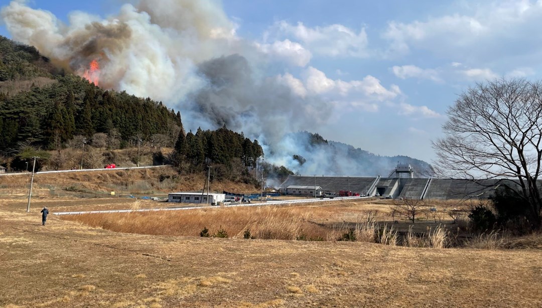 Japonya’da orman yangını:  2 bin 114 kişiye tahliye uyarısı yapıldı – Son Dakika Dünya Haberleri