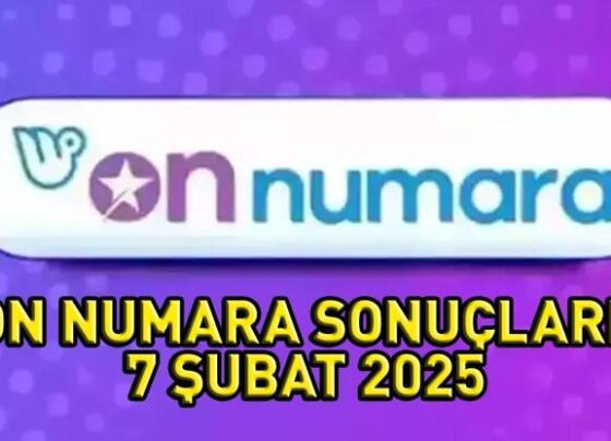 ON NUMARA SONUÇLARI 7 ŞUBAT 2025: On Numara sonuçları nasıl öğrenilir Milli Piyango Online sonuç sorgulama ekranı