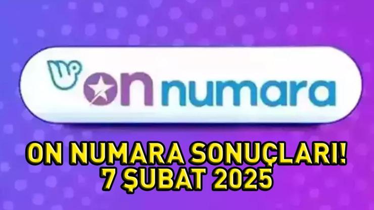 On Numara sonuçları nasıl öğrenilir? Milli Piyango Online sonuç sorgulama ekranı