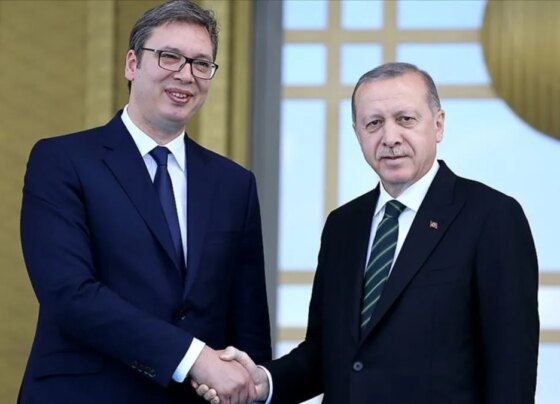 SON DAKİKA | Başkan Erdoğan Sırbistan Cumhurbaşkanı Vucic ile görüştü