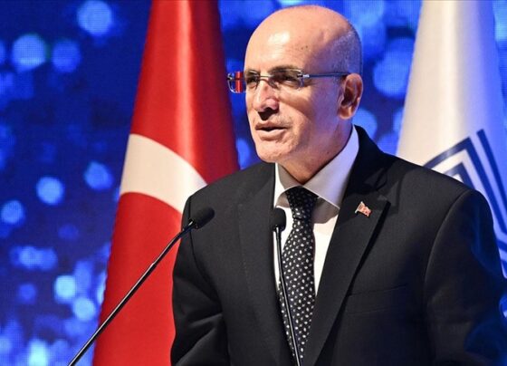 Mehmet Şimşek: Ocak ayı enflasyonu kurgumuzu değiştirmedi