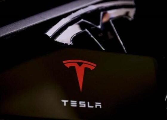 Tesla satışları Avrupada sert fren yaptı