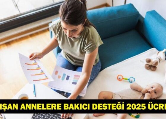 ÇALIŞAN ANNELERE BAKICI DESTEĞİ 2025: Yarı zamanlı, tam zamanlı çalışan anneler ne kadar destek alacak