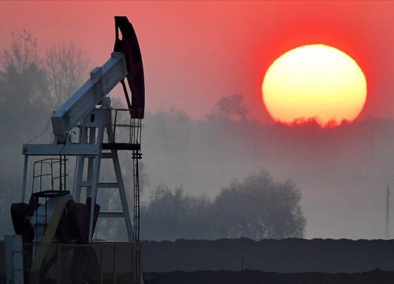 Petrol fiyatlarındaki düşüş sürüyor