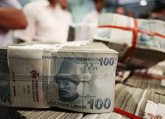 Bankacılık sektörünün kârı 47.3 milyar TL'ye ulaştı