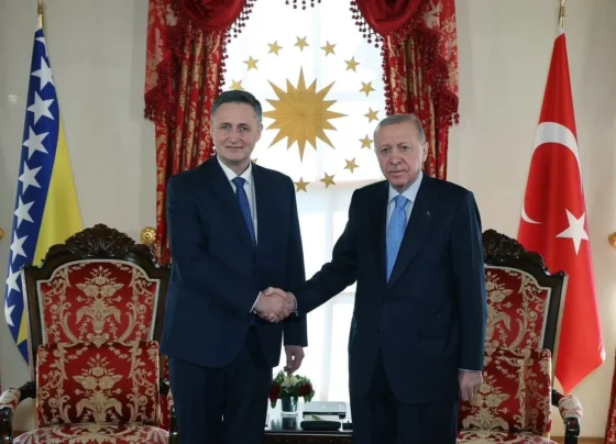 Başkan Erdoğan, Bosna Hersek Devlet Başkanlığı Konseyi Üyesi Denis Becirovic ile görüştü