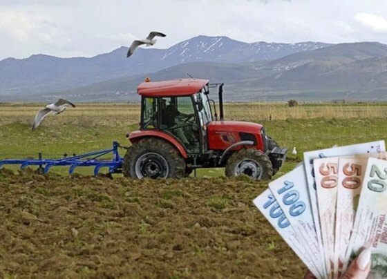 Çiftçilerin destek ödemesi hesaba yatıyor