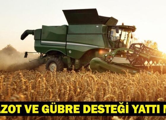 MAZOT VE GÜBRE DESTEĞİ 2025 YATTI MI Mazot Gübre Desteği 2025 ne zaman hesaplarına yatacak