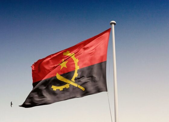 Siyasiler Angola'ya giremedi: 20 kişi gözaltına alındı - Son Dakika Dünya Haberleri