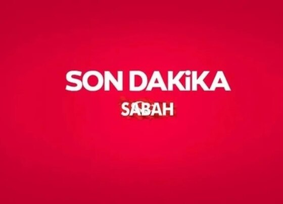 Son dakika: Başıboş köpek saldırılarına soruşturma