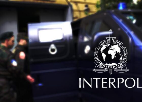 Interpol itiraf etti: Dünya mafyaya yenildi!